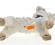 GOLDSCHEIDER (Austria) - FOX TERRIER, su