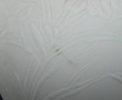 PORCELAINE DE SOLOGNE - Vase balustre en