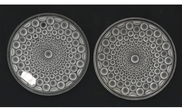 Paire de dessous de bouteille en verre m
