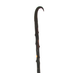 Canne alpine fût en bois de roncier, pom