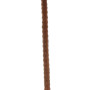 Canne épée, lame triangulaire, bois de r