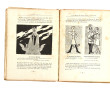 HOMOSEXUALITE - J. GRAND-CARTERET - "Der