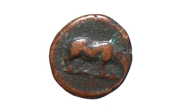 Monnaie antique (Gaule?) - Potin à décor