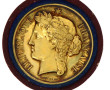 Médaille en vermeil, en écrin, poids 49,