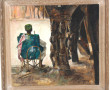 Bernard MERIGAULT (Né en 1942 - Peintre 