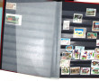 Lot de 12 classeurs tous formats plus ou
