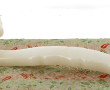 CHINE - RUYI - Sceptre talisman en jade 