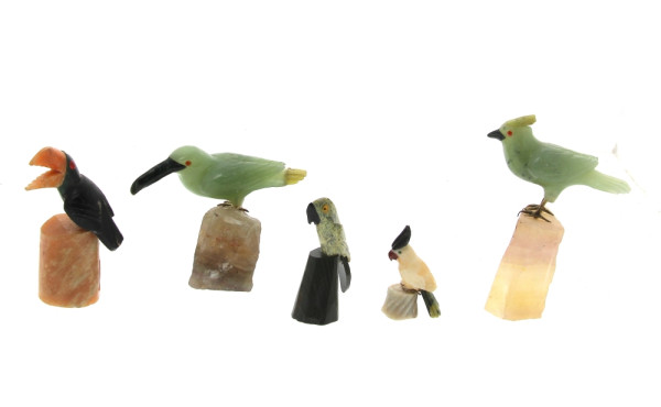 OISEAUX - Collection de 5 oiseaux en pie