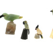 OISEAUX - Collection de 5 oiseaux en pie