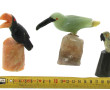 OISEAUX - Collection de 5 oiseaux en pie