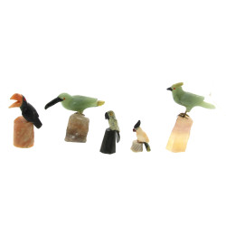 OISEAUX - Collection de 5 oiseaux en pie