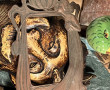 VIDE RESERVE - Lot de bibelots, encadrem