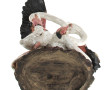 Groupe de trois flamands roses, sujet en