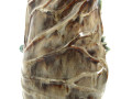 Vase en céramique à décor de nénuphar, g
