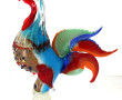 MURANO - Coq en verre multicolore, H 37 