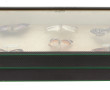 PAPILLONS - Cadre-vitrine contenant 7 pa