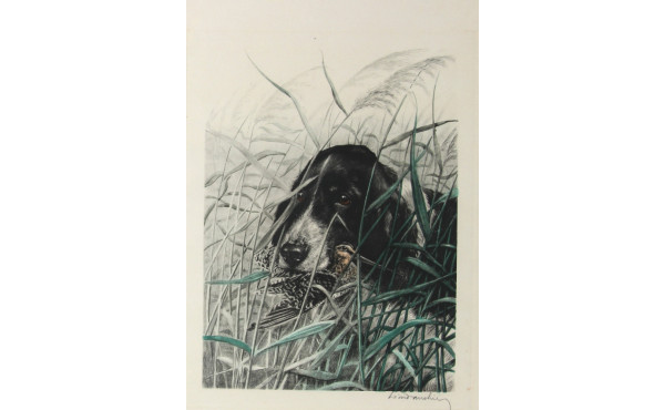 Léon DANCHIN (1887-1938) "Setter à la bé