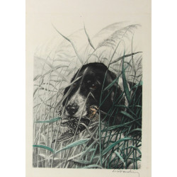 Léon DANCHIN (1887-1938) "Setter à la bé