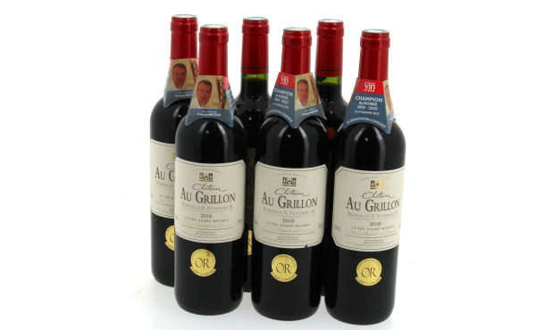 BORDEAUX supérieur - 6 B Ch Au Grillon 2