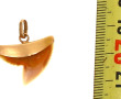 Dent de requin montée en pendentif, mont