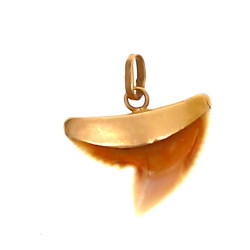 Dent de requin montée en pendentif, mont