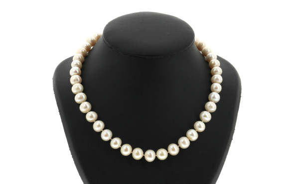 Collier shoker de perles d'eau douce, di