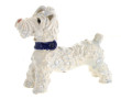 GOLDSCHEIDER (Austria) - FOX TERRIER, su