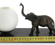 Veilleuse à décor d'un éléphant en régul