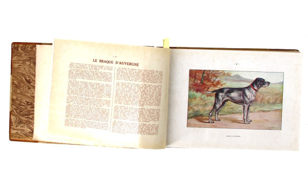  KERMADEC (Ronan de), HÉROUT (Eugène) & 