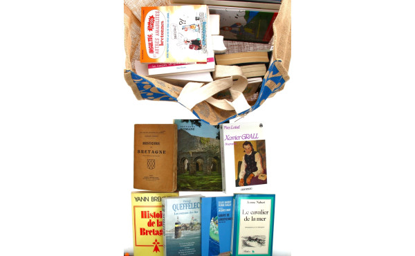 BRETAGNE - Sac de livres divers: histoir