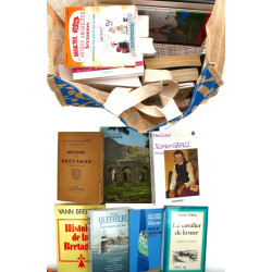 BRETAGNE - Sac de livres divers: histoir