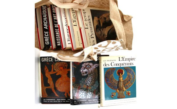 L'UNIVERS DES FORMES - 8 forts volumes 