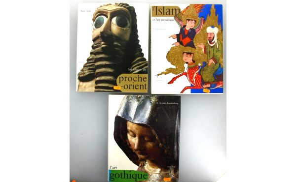 MAZENOD CITADELLES - 3 forts volumes ric