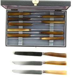 12 couteaux manche corne en écrin
