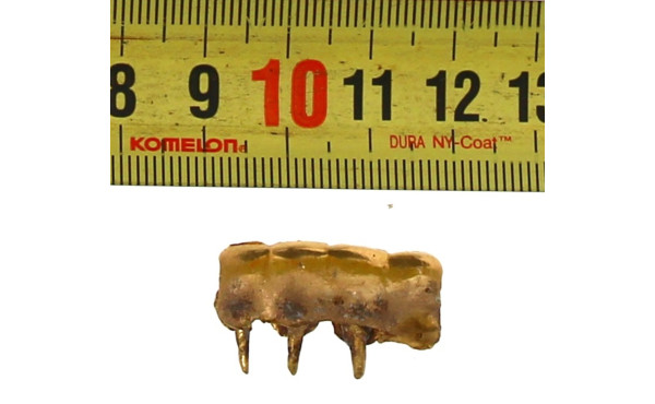 Lot d'or dentaire, poids brut 11,80 grs