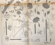 LE JOURNAL DES BRODEUSES - L'année 1961,