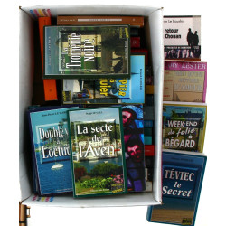 ROMANS POLICIERS BRETONS - Lot de livres