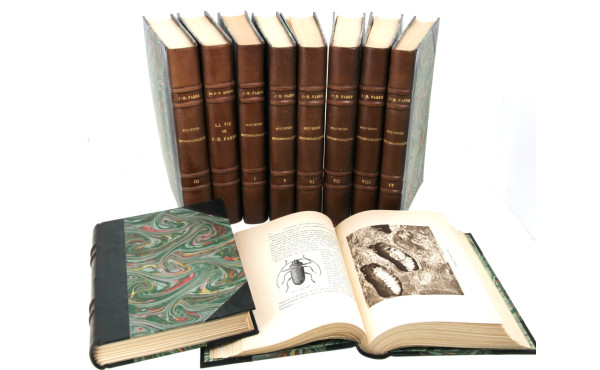 J.H. FABRE - "Souvenirs entomologiques",