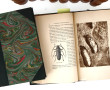 J.H. FABRE - "Souvenirs entomologiques",