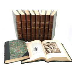 J.H. FABRE - "Souvenirs entomologiques",
