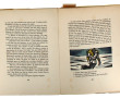 ILLUSTRATEURS - lot de 4 ouvrage illustr