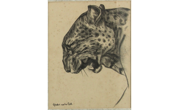 Daniel Herbert VAN DER POLL (1877-1963) 