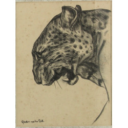 Daniel Herbert VAN DER POLL (1877-1963) 