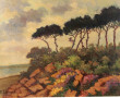 P. LAHAYE (Xxème) "Bord de mer aux pins 