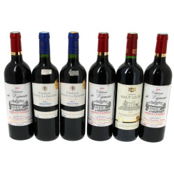BORDEAUX - 6 B Ch Le Vigneau 2015 (Borde