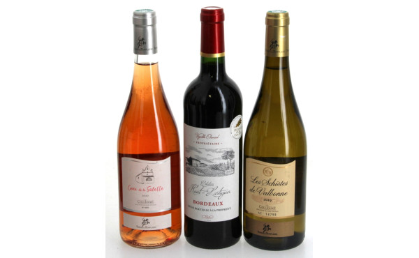 Lot de 3 bouteilles: 1 B BORDEAUX rouge 