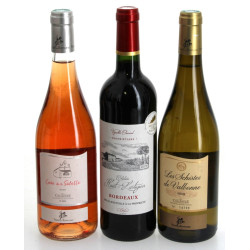 Lot de 3 bouteilles: 1 B BORDEAUX rouge 