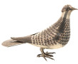 Pigeon, sujet en métal argenté, travail 