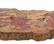 Coupe de bois fossilisé, 45 x 21,5 cm