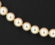 Beau collier shoker de 61 perles de cult